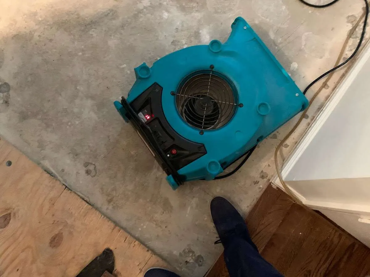 Air mover drying subfloor during Commercial Water Damage Restoration in Salamanca